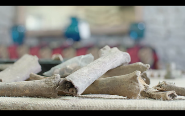 Đào vườn phát hiện biệt thự nghìn năm chứa kho báu ảnh 8