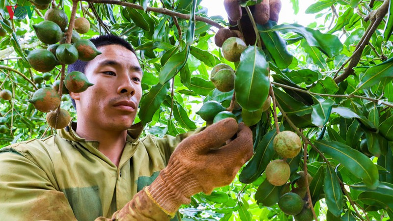 Ma trận gọi vốn đa cấp thời 4.0: Nhận diện những biến tướng mới ảnh 12 Ma trận gọi vốn đa cấp thời 4.0: Nhận diện những biến tướng mới ảnh 12