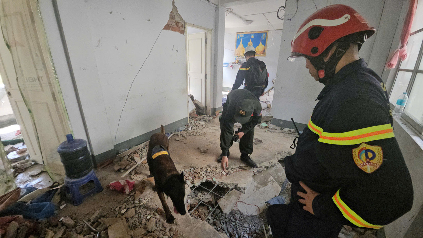 Đoàn cứu nạn, cứu hộ của Bộ Công an Việt Nam sử dụng chó nghiệp vụ tìm kiếm nạn nhân. Ảnh: Lê Hoàng