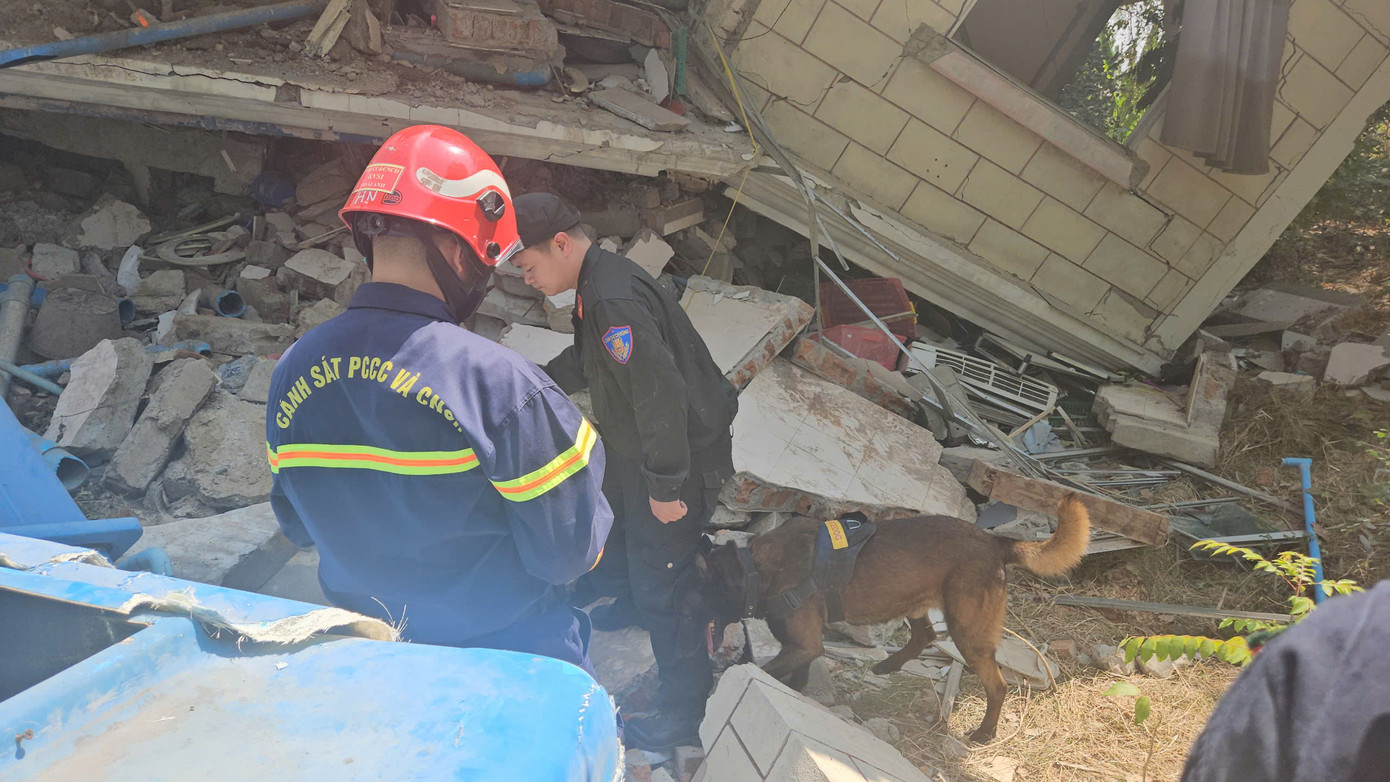 Đoàn cứu nạn, cứu hộ của Bộ Công an Việt Nam sử dụng chó nghiệp vụ tìm kiếm nạn nhân. Ảnh: Lê Hoàng