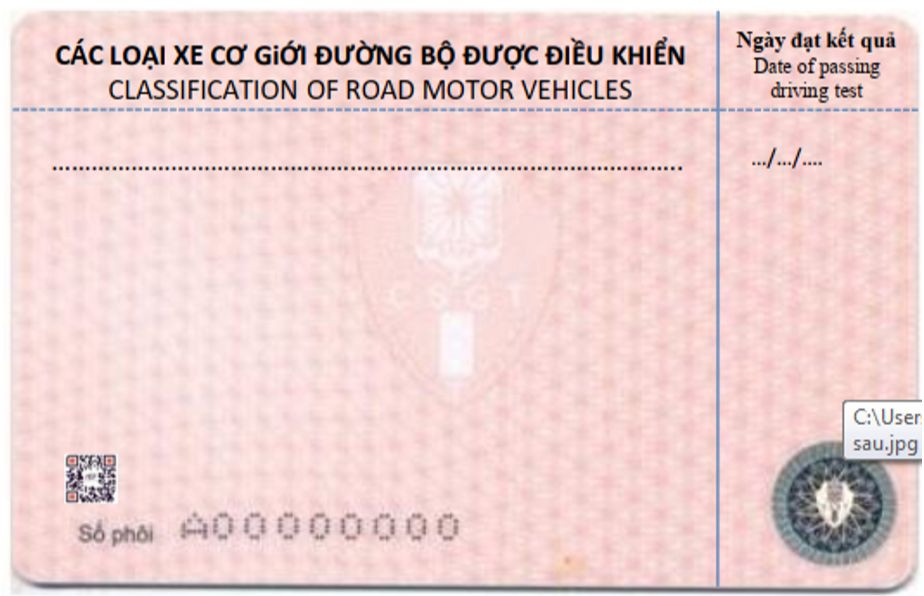 Mặt sau giấy phép lái xe.