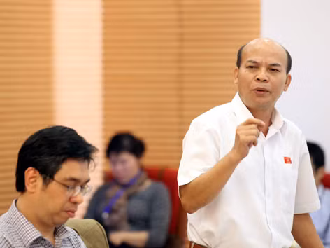 ĐB Đỗ Văn Đương phát biểu tại họp tổ Ảnh: Hồng Vĩnh