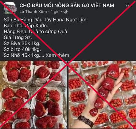 Hình ảnh đối tượng Lò Thanh Xôm đăng trên các hội nhóm với mục đích lừa đảo người dân. Hình ảnh đối tượng Lò Thanh Xôm đăng trên các hội nhóm với mục đích lừa đảo người dân.
