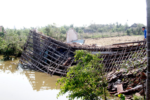 Bão đã gây thiệt hại lớn cho nhiều hộ nông đân. như gia đình anh Nguyễn Văn Luật (xóm Tùng Cát, xã Hải Đông, Hải Hậu, Nam Định) mất trắng. Bão đã làm sập nhà chăn nuôi gà, gần 1000 con gà chết; “vét” trắng ao cá của anh Luật, gây thiệt hại hơn 400 triệu đồng. (Trong ảnh là một phần chuồng trại nhà anh Luật bị bão đánh sập)