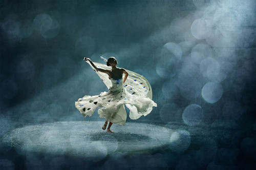 Peacock dance 1 (Thể loại Tự do) – tác giả Manfred Kluger (Germany - Tự do - Huy chương Bạc FIAP