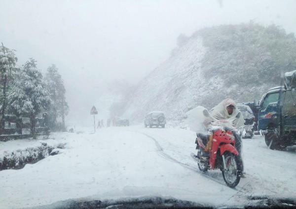 Tuyết phủ trắng xóa đường đi