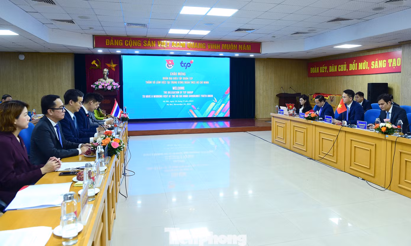 Quang cảnh buổi làm việc giữa T.Ư Đoàn và TCP. Ảnh: Xuân Tùng Quang cảnh buổi làm việc giữa T.Ư Đoàn và TCP. Ảnh: Xuân Tùng