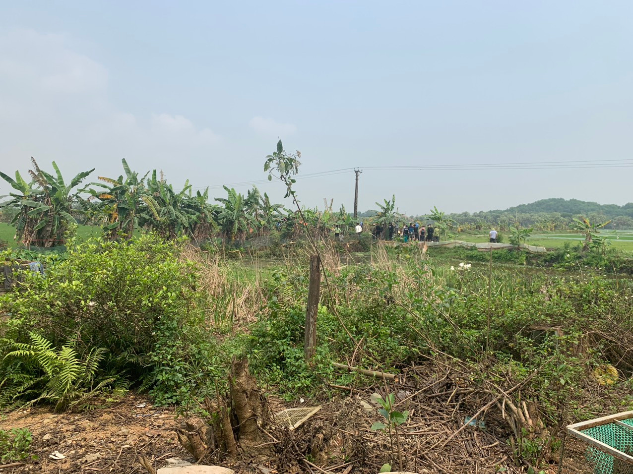 Hiện trường vụ việc