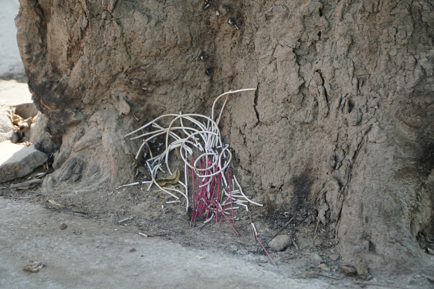 Vào ngày rằm, mùng một hoặc lễ Tết, người dân địa phương thường ra gốc cây vông này để thắp hương, cầu mong những điều tốt đẹp. Vào ngày rằm, mùng một hoặc lễ Tết, người dân địa phương thường ra gốc cây vông này để thắp hương, cầu mong những điều tốt đẹp.