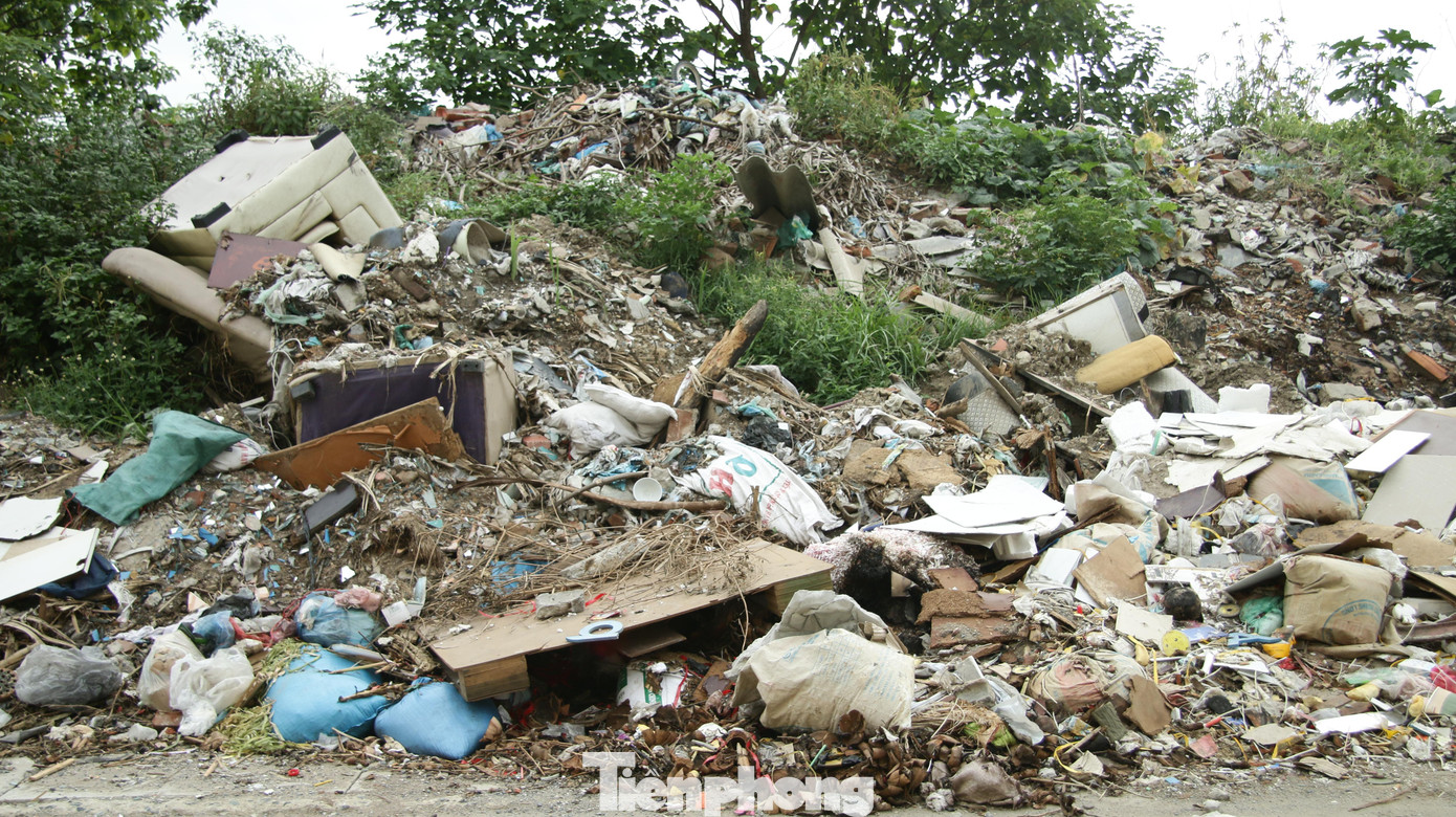 Bãi rác tích tụ lâu ngày đã mọc đầy cỏ dại phía trên.