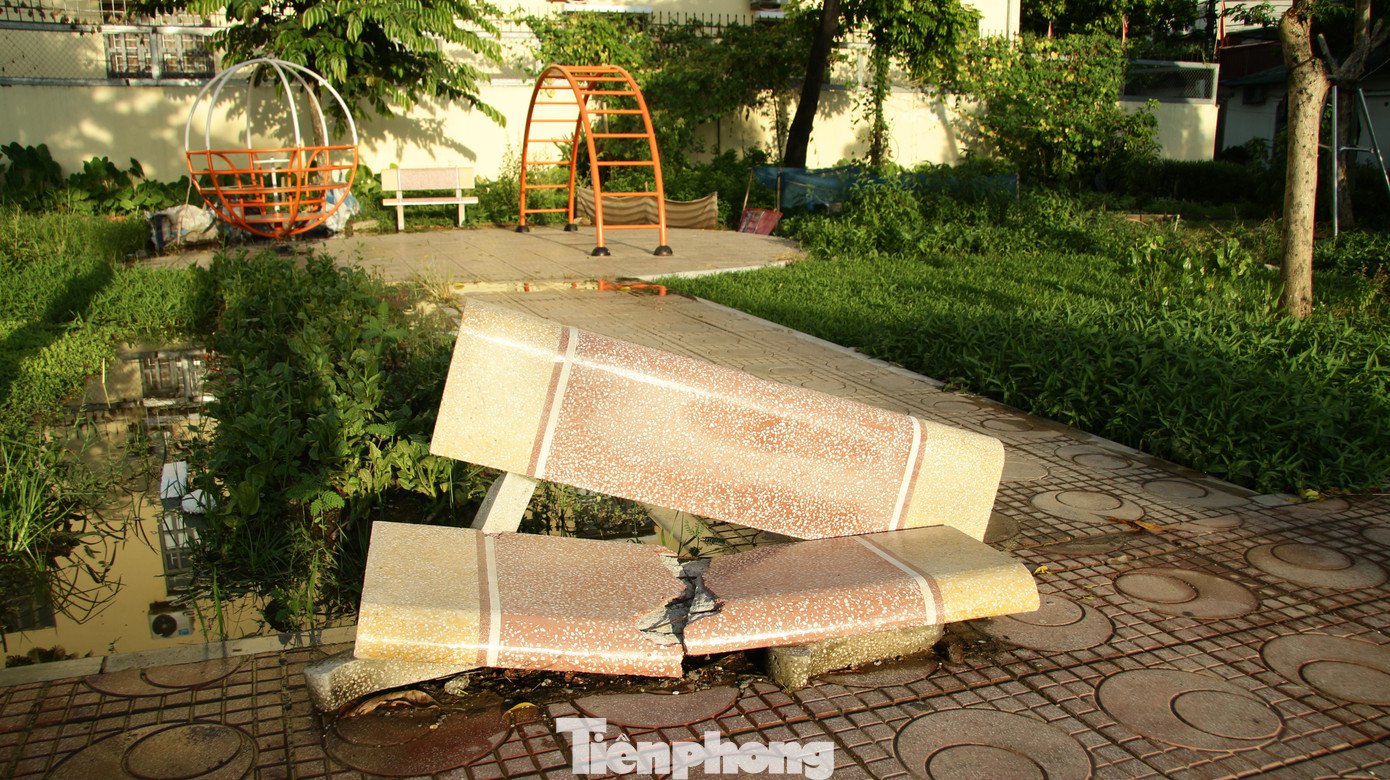 Những chiếc ghế đá để người dân ngồi nghỉ chân, thư giãn đã bị hư hỏng nặng, gãy đôi, bể nát từ lâu nhưng không có người xử lý, dọn dẹp.