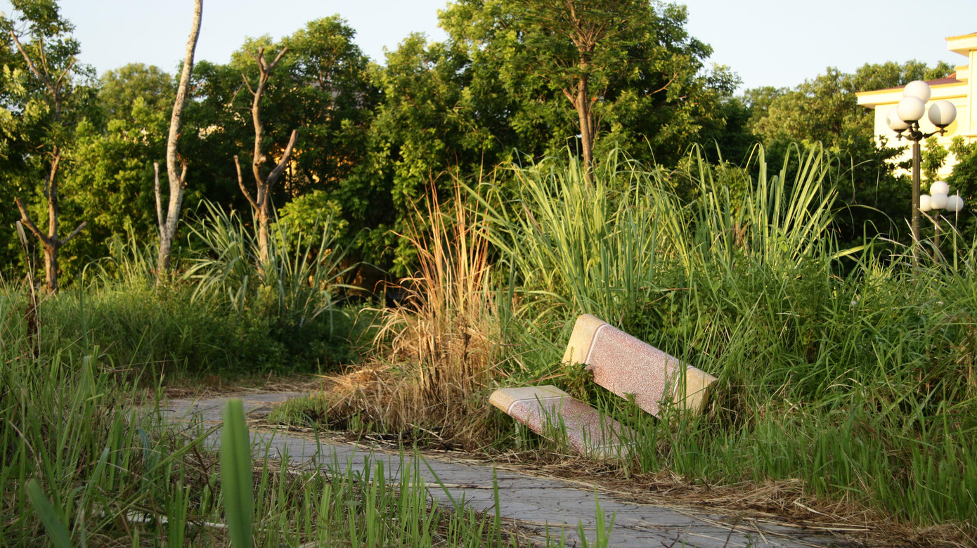 Tại các lối đi, cỏ mọc um tùm, lâu không được chăm sóc.