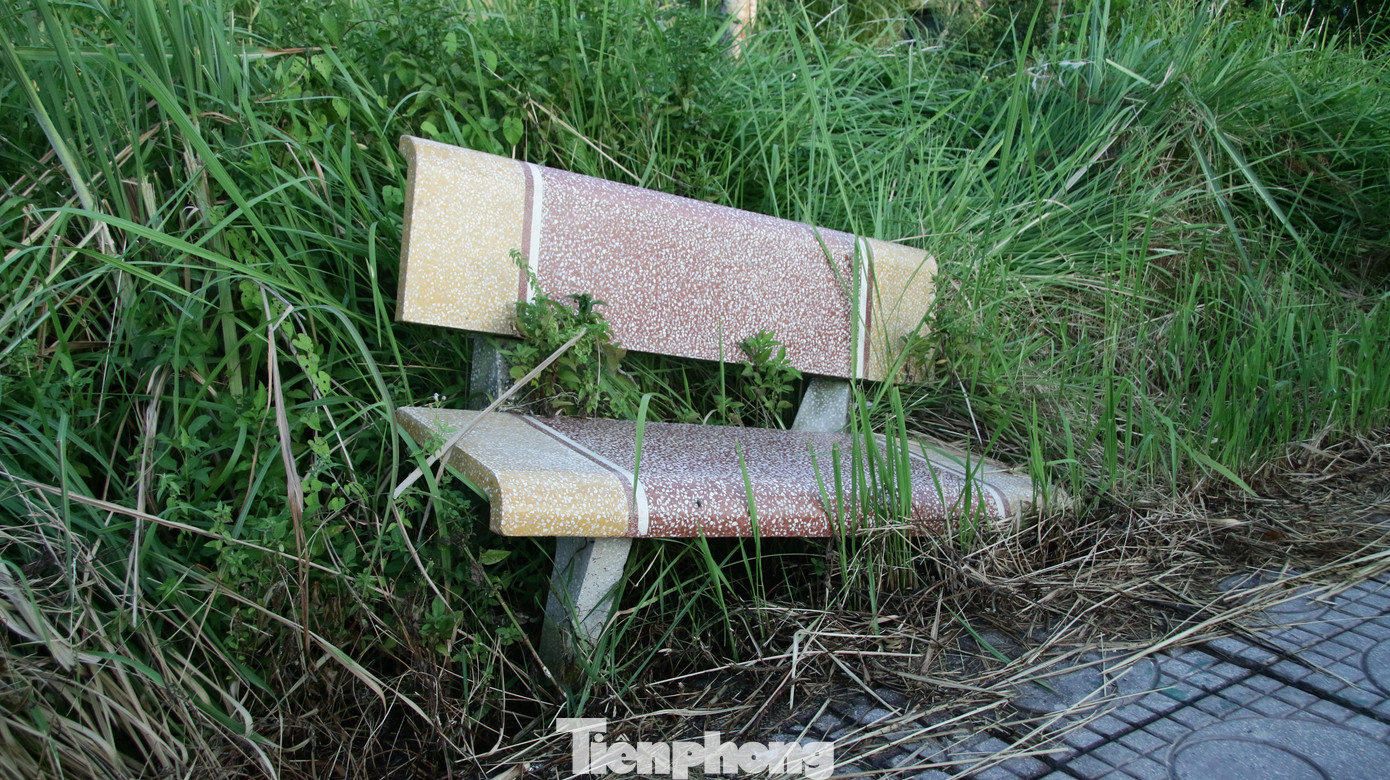 Tình trạng này vừa mất mỹ quan vừa gây nguy hiểm cho trẻ nhỏ, hoặc người đi lại tập thể dục lúc trời tối.