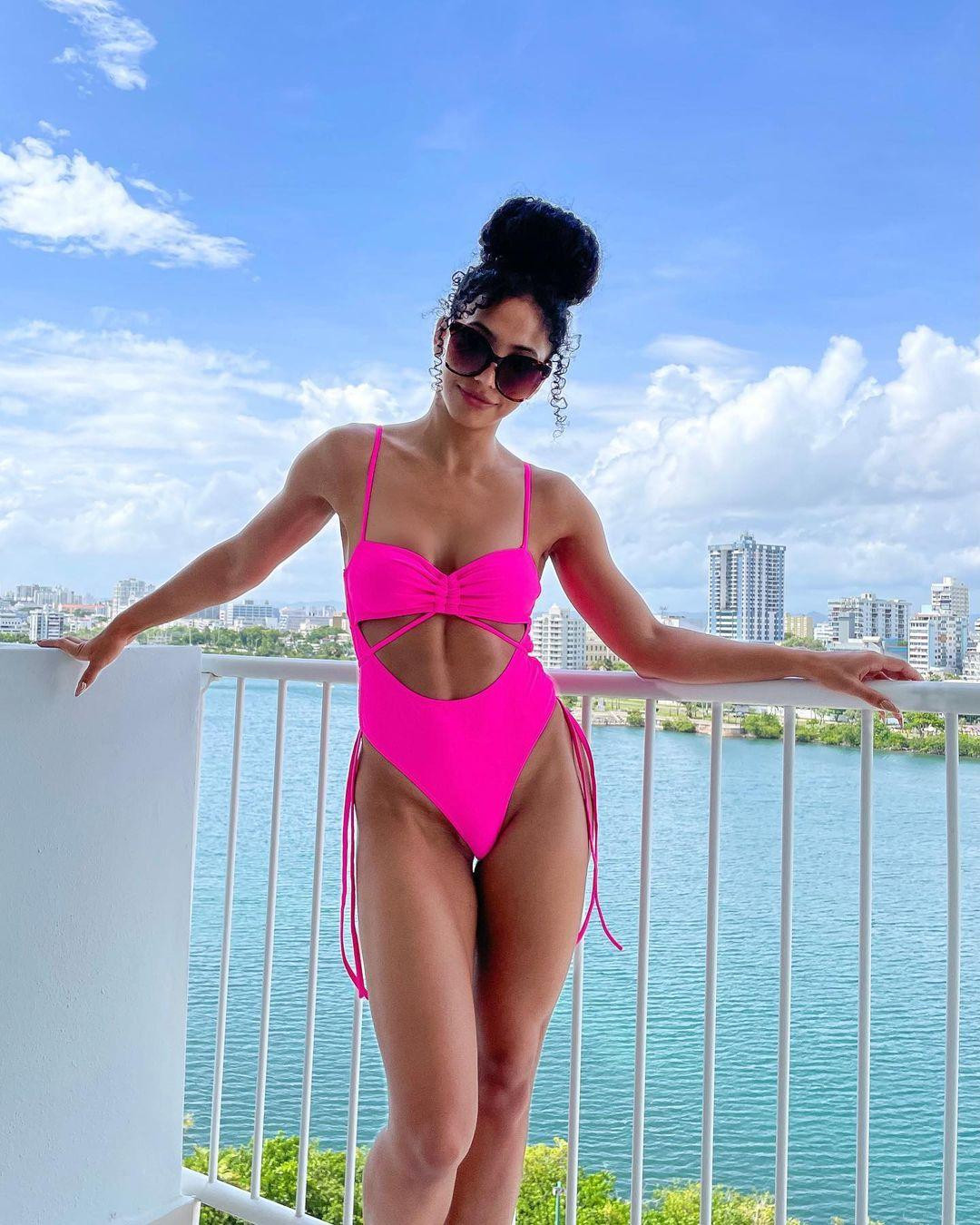 Trước khi trở thành nữ hoàng sắc đẹp, Cheslie là một luật sư chuyên xử lý các vụ tố tụng dân sự. Cô nhận bằng MBA luật tại đại học Wake Forest. Ngoài ra, cô từng thiết kế đồ ngủ và áo choàng cho hai nhãn hàng Goodwill và Rock the Runway. Cheslie mở trang blog White Collar Glam về quần áo bảo hộ lao động cho phụ nữ.