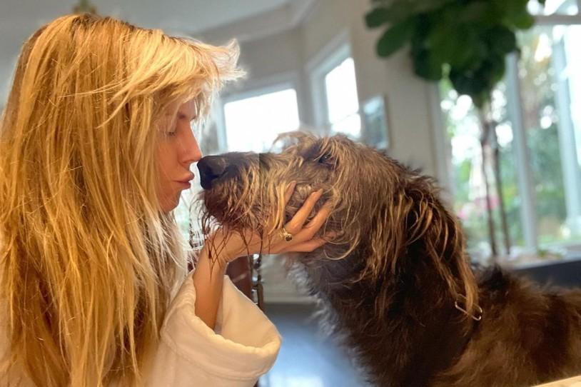 Siêu mẫu Heidi Klum âu yếm chú chó "đẹp trai" Anton.