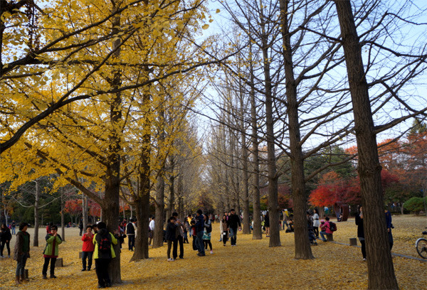  Những con đường tình yêu đặc biệt từng xuất hiện trong bộ phim 