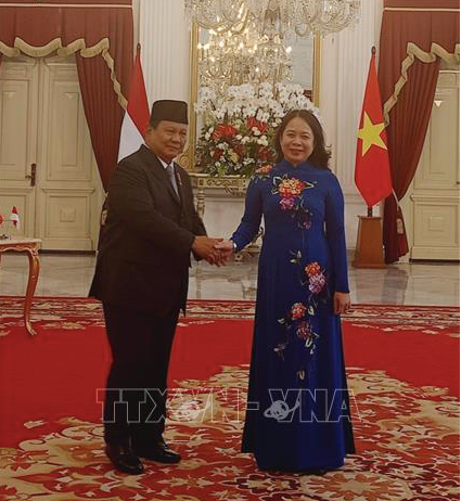 Phó Chủ tịch nước Võ Thị Ánh Xuân trong cuộc gặp Tổng thống Indonesia Prabowo Subianto. (Ảnh: TTXVN) Phó Chủ tịch nước Võ Thị Ánh Xuân trong cuộc gặp Tổng thống Indonesia Prabowo Subianto. (Ảnh: TTXVN)