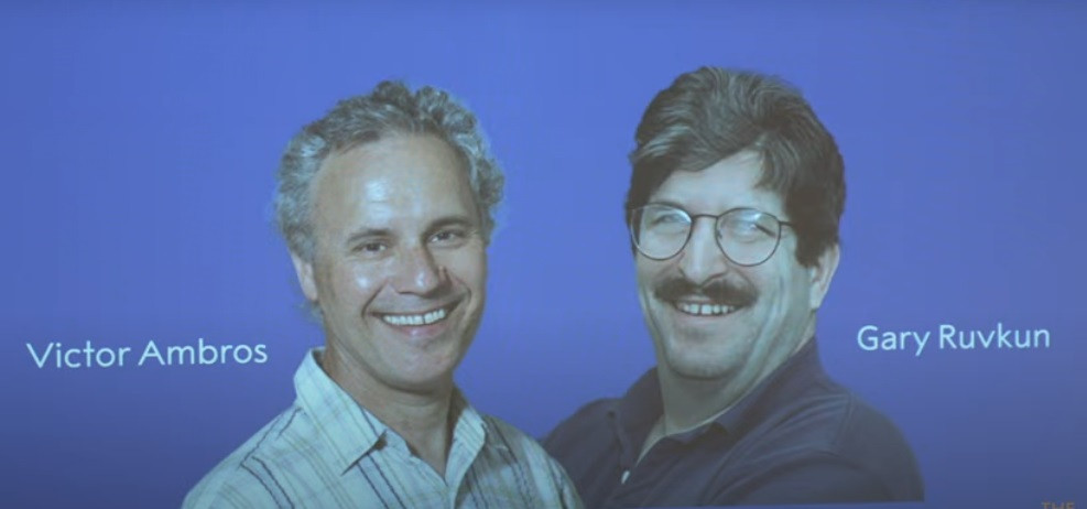 Hai nhà khoa học Victor R. Ambros và Gary B. Ruvkun trở thành chủ nhân giải Nobel Y học.