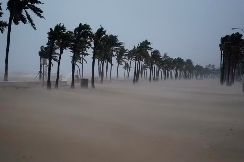 Người Mỹ và những hành xử điên rồ giữa ‘bão tử thần’ Irma ảnh 1