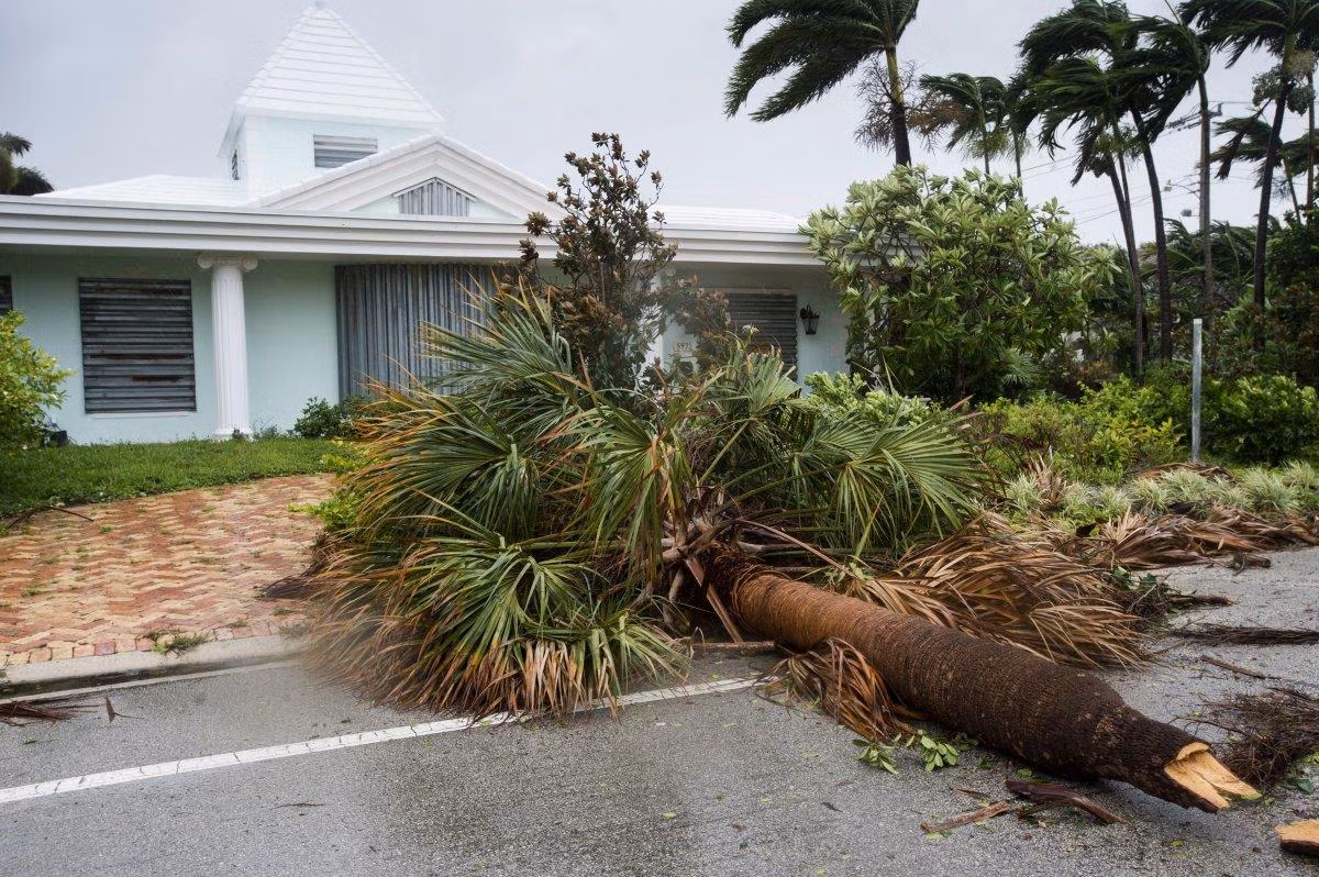 Hàng chục người Florida bị bắt vì lợi dụng bão Irma cướp bóc ảnh 1
