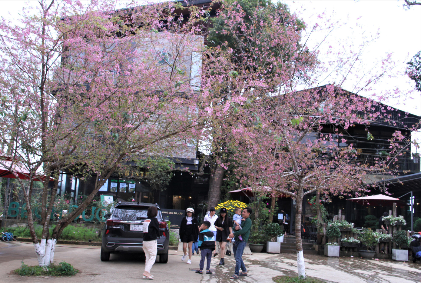 Khách du lịch thường đến Măng Đen theo nhóm nhỏ.