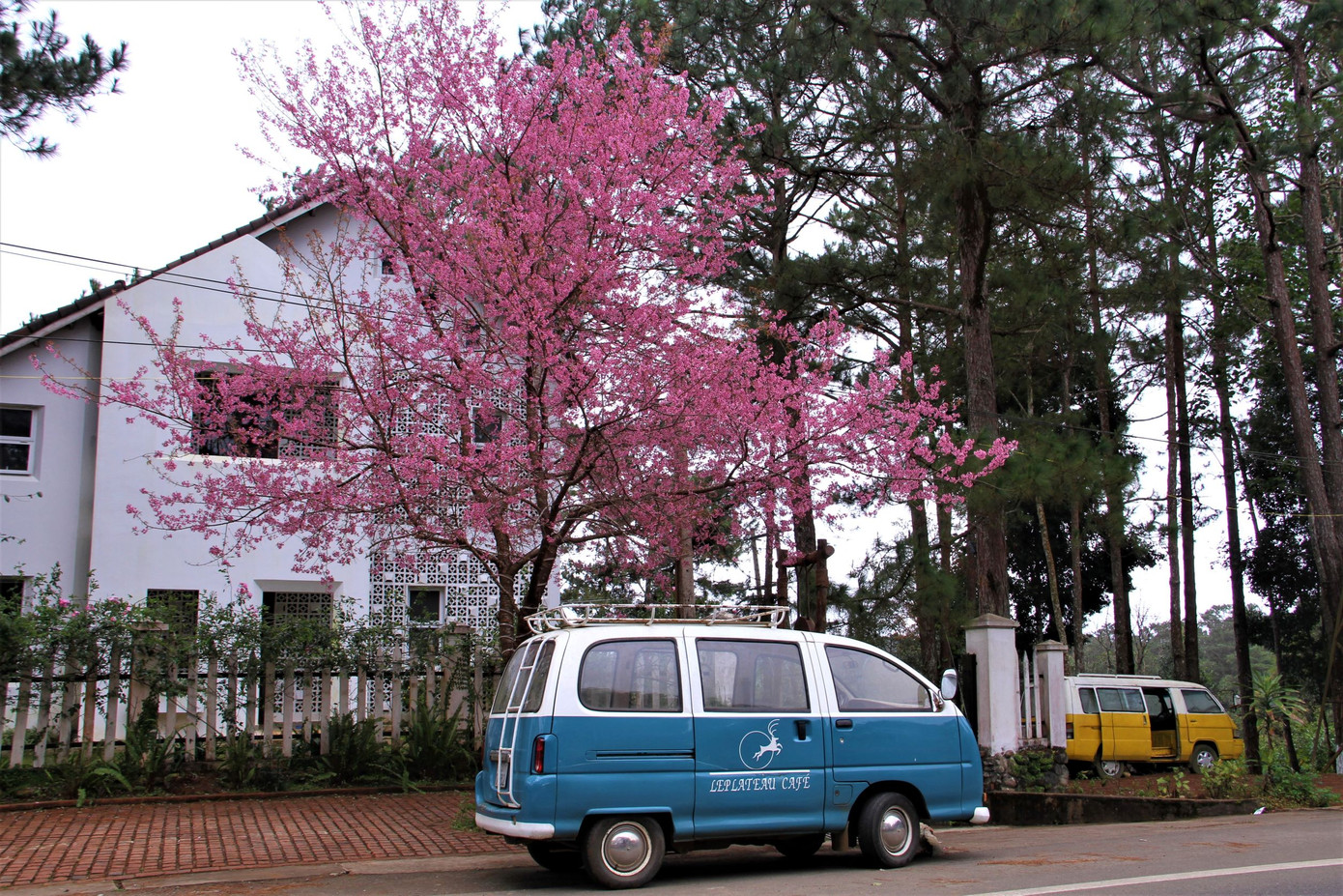 Măng Đen như một góc châu Âu thu nhỏ