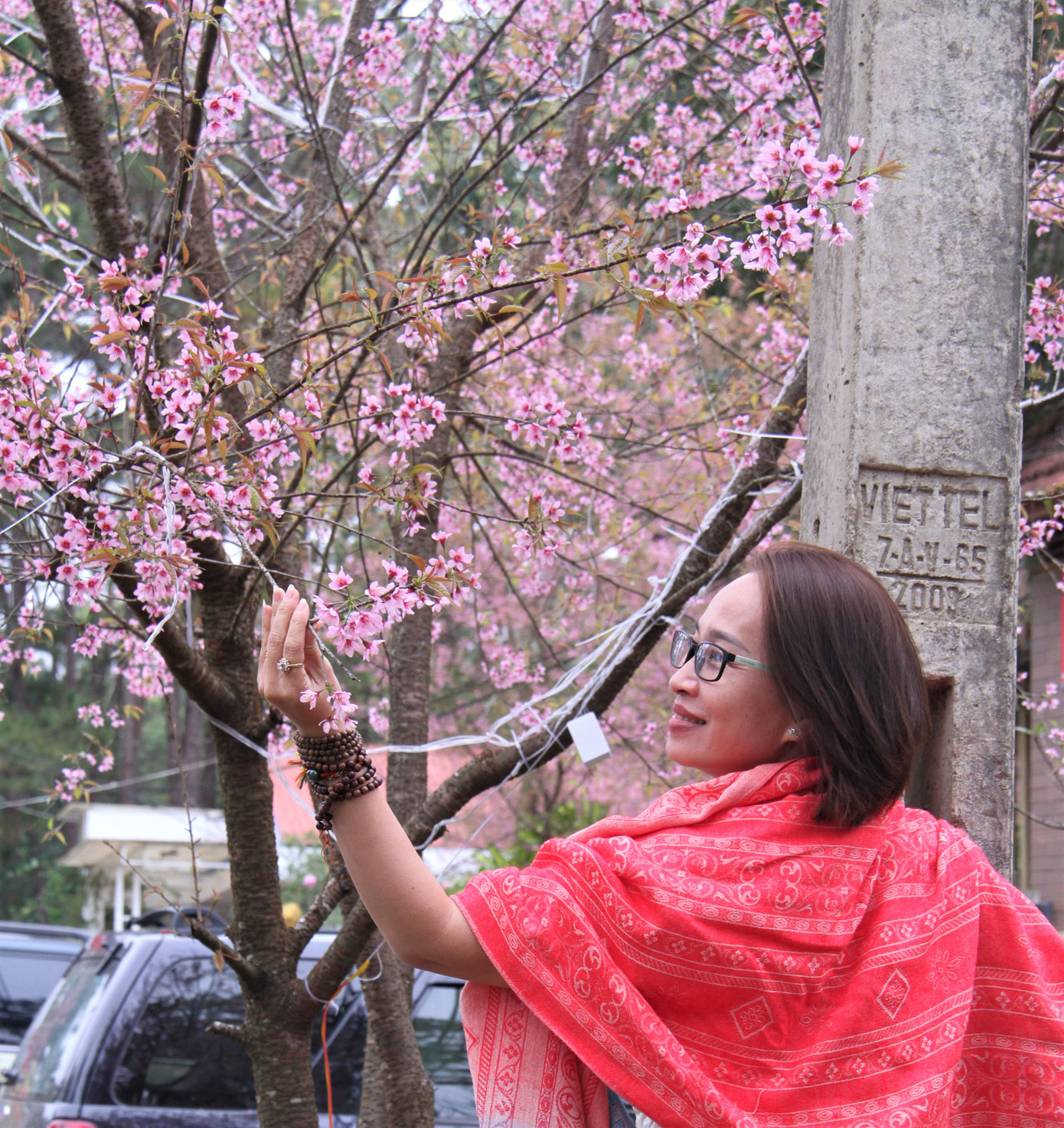 Khách du lịch từ nhiều nơi về Măng Đen để thưởng thức không khí lạnh của thị trấn vùng cao và chụp ảnh hoa đào.