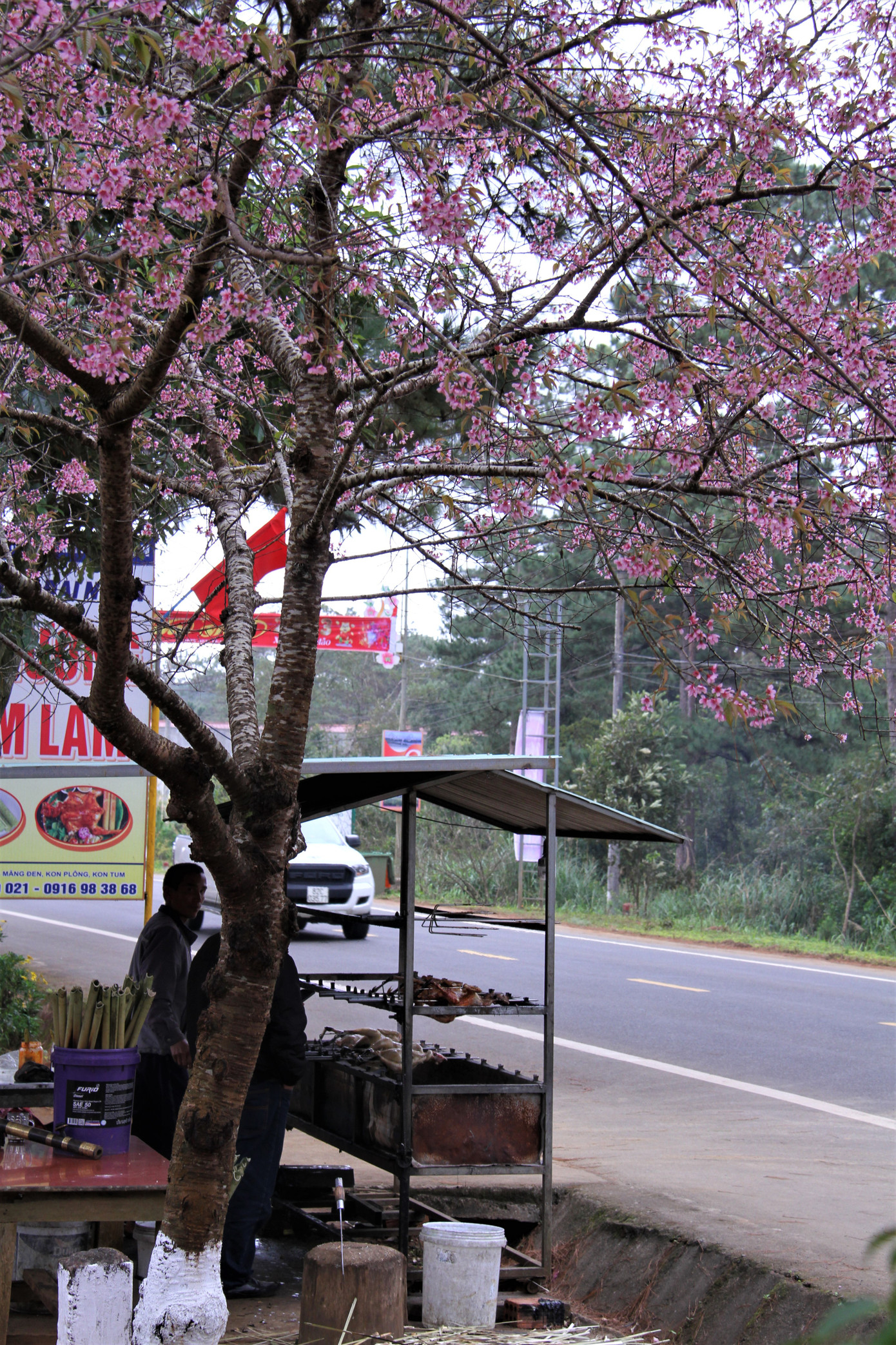 Những bếp gà nướng, cơm lam ẩn dưới những tán hoa đào.