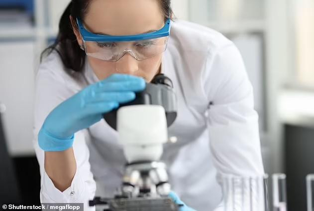 Các biện pháp an toàn sinh học ở cấp độ 1 bao gồm hằng ngày khử khuẩn bề mặt làm việc, rửa tay thường xuyên và đeo kính bảo vệ mắt. Ảnh: Shutterstock. Các biện pháp an toàn sinh học ở cấp độ 1 bao gồm hằng ngày khử khuẩn bề mặt làm việc, rửa tay thường xuyên và đeo kính bảo vệ mắt. Ảnh: Shutterstock.