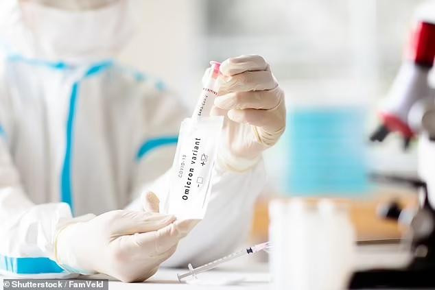 Nghiên cứu về biến chủng Omicron. Ảnh: Shutterstock. Nghiên cứu về biến chủng Omicron. Ảnh: Shutterstock.