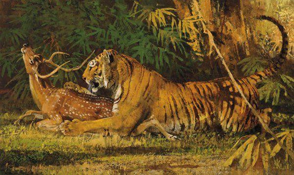 Hổ vồ hươu. Tranh: Bob Kuhn.