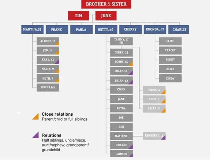 Cây phả hệ gia đình Tim-June Colt. Đồ họa: News. Cây phả hệ gia đình Tim-June Colt. Đồ họa: News.
