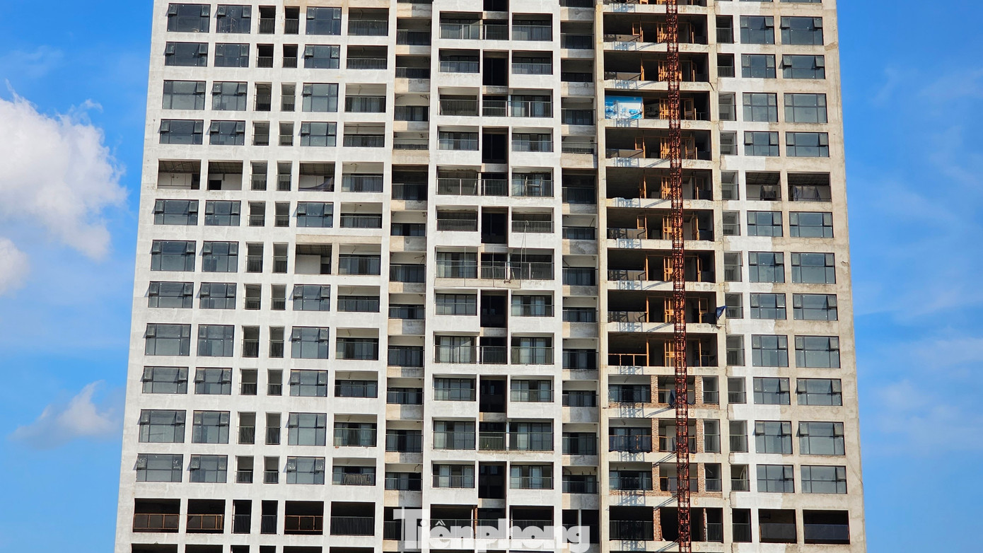 Được biết, bà Vũ Thị Thuý, Tổng Giám đốc Công ty BĐS Nhật Nam vừa bị tạm giữ vì có hành vi đưa ra thông tin sai sự thật nhằm chiếm đoạt số tiền đặc biệt lớn cũng là Chủ tịch HĐQT Công ty Cổ phần Sông Đà 1.01 – Chủ đầu tư tòa tháp nghìn tỷ Elite Tower.