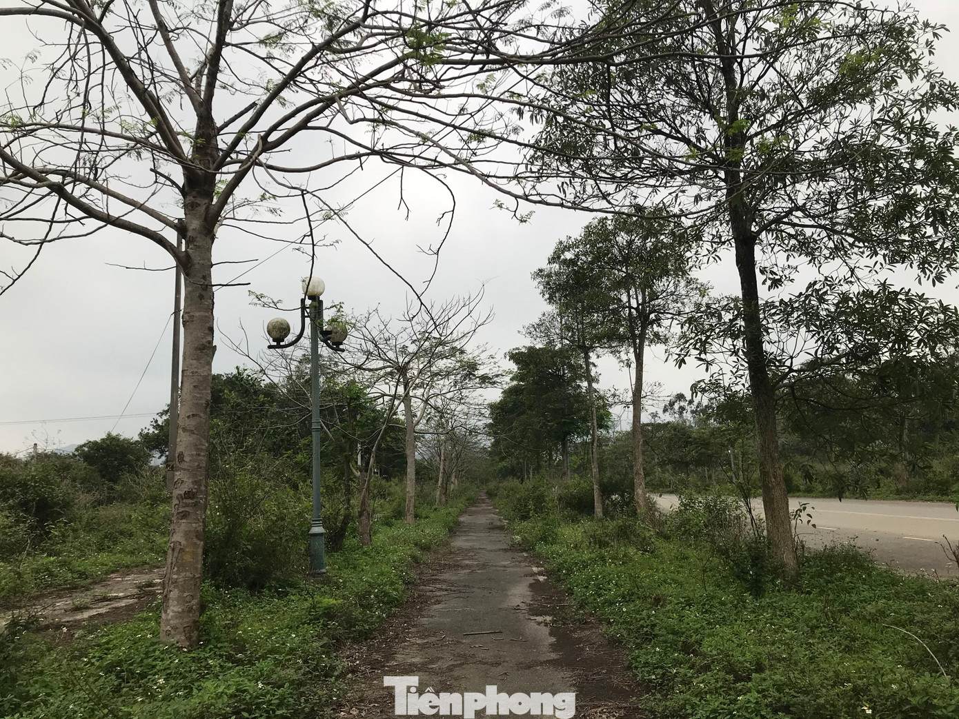 Nhiều khu vực đường xá dù được đầu tư rất đồng bộ trong khuôn viên dự án, nhưng xuống cấp nghiêm trọng sau nhiều năm bỏ hoang, không có người sử dụng. Nhiều khu vực đường xá dù được đầu tư rất đồng bộ trong khuôn viên dự án, nhưng xuống cấp nghiêm trọng sau nhiều năm bỏ hoang, không có người sử dụng.