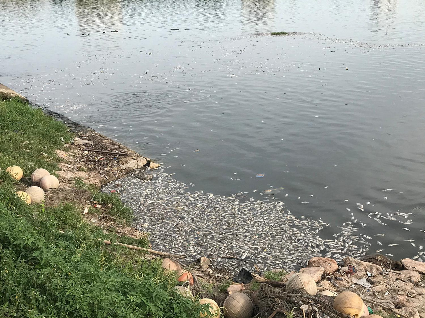 Xung quanh hồ, có nhiều biển thông báo của Cty Thoát nước Hà Nội về việc cấm vứt rác thải, phế thải xuống hồ