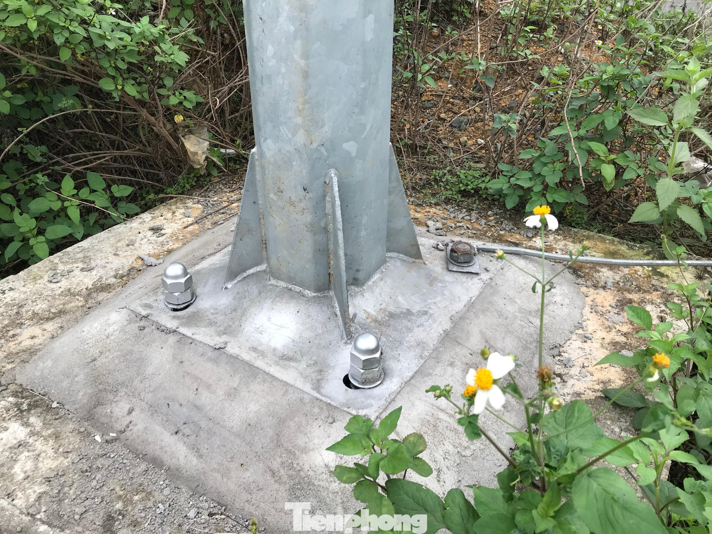 Các cột đèn mới được lắp đặt gần đây, vữa và ốc vít chân cột còn rất mới Các cột đèn mới được lắp đặt gần đây, vữa và ốc vít chân cột còn rất mới