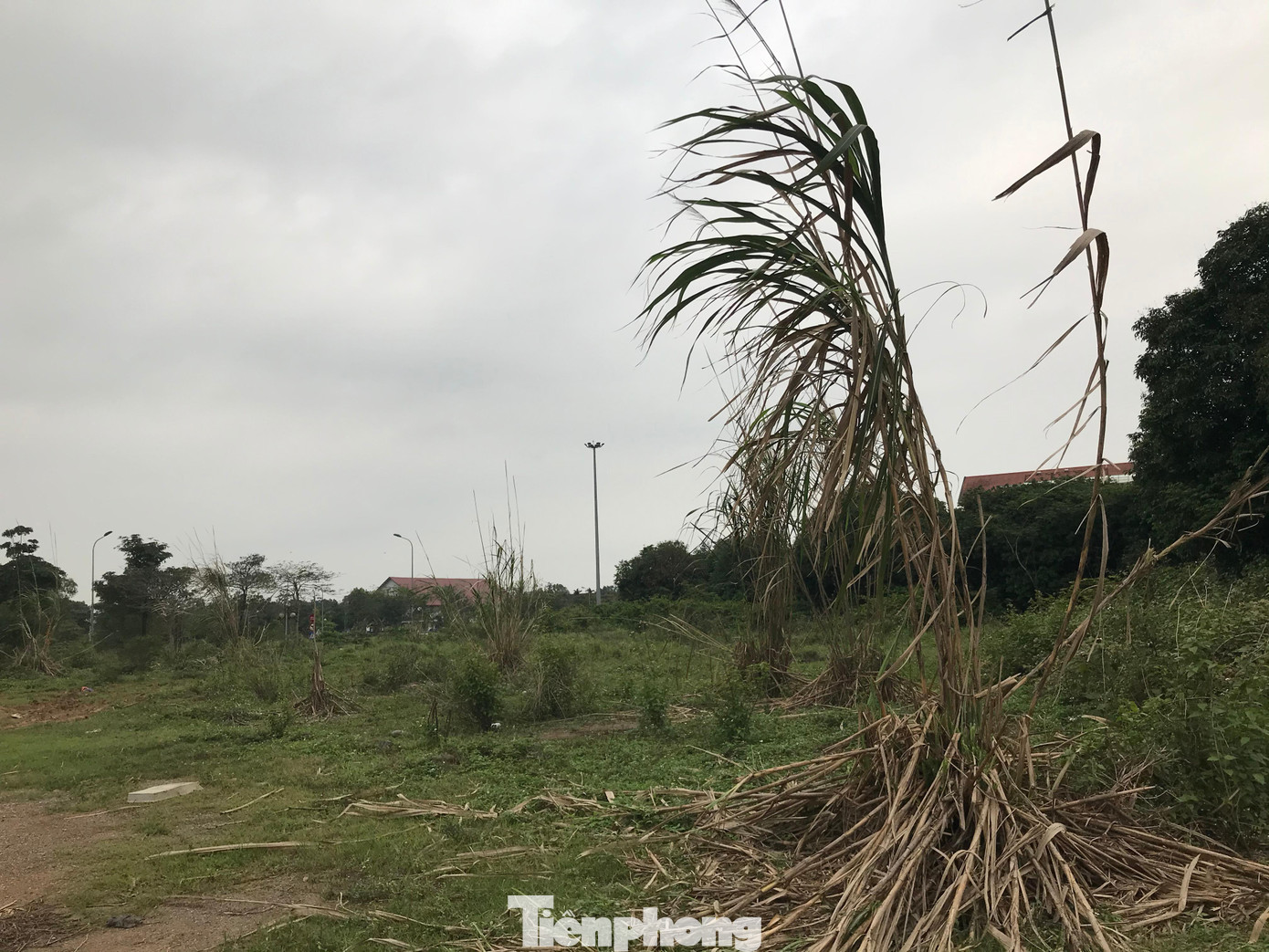 Bãi đất tập kết máy móc hư hỏng trong khuôn viên dự án (báo Tiền Phong đã phản ánh) đã được di dời. Bãi đất tập kết máy móc hư hỏng trong khuôn viên dự án (báo Tiền Phong đã phản ánh) đã được di dời.