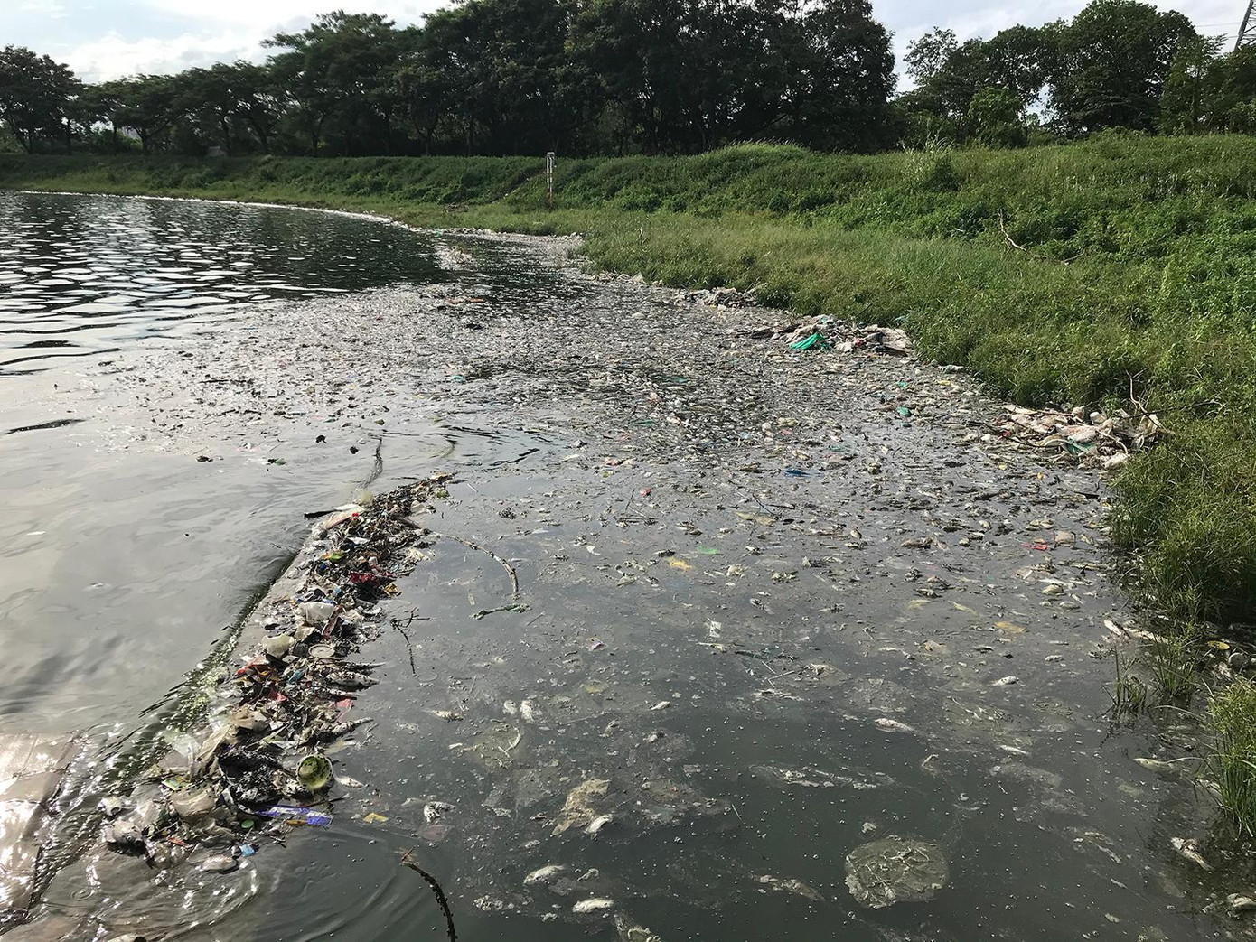 Cùng với xác cá chết, khu vực góc hồ xuất hiện khá nhiều rác thải