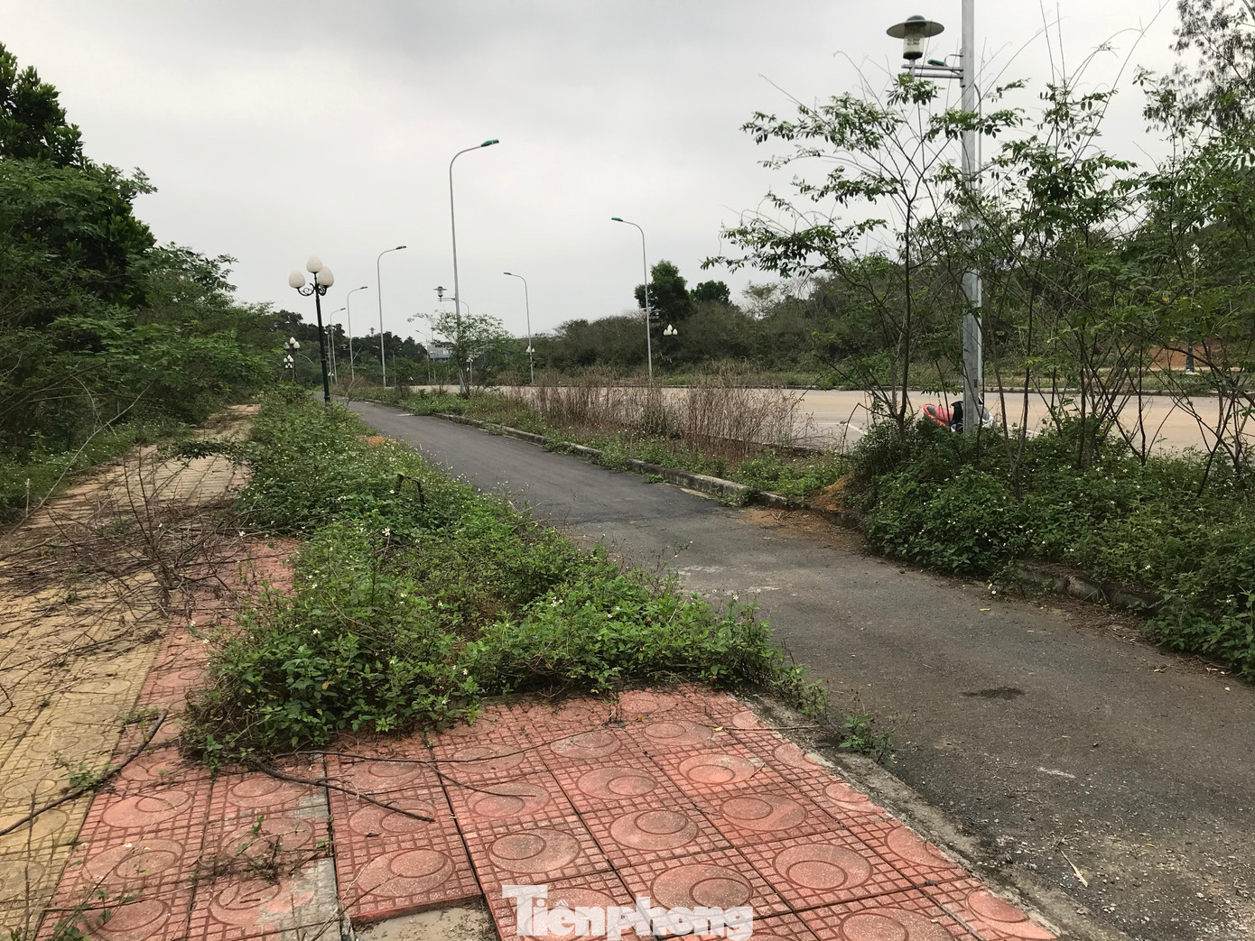 Đoạn đường gom dường như được trải thảm lại, màu sắc khác với đoạn đã cũ, được đầu tư trước đó Đoạn đường gom dường như được trải thảm lại, màu sắc khác với đoạn đã cũ, được đầu tư trước đó