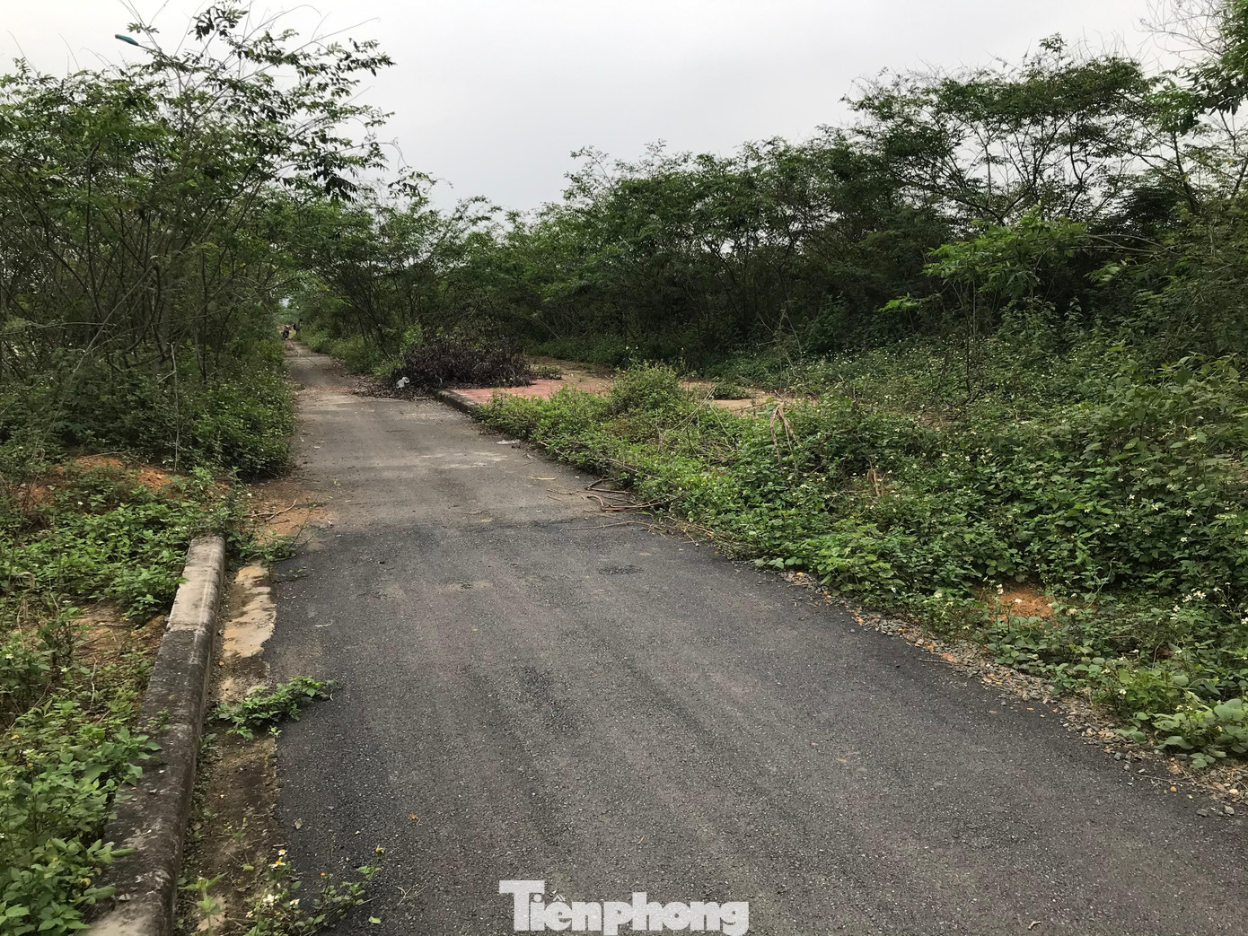 Điều này gây băn khoăn cho rất nhiều người, bởi tuyến đường bỏ hoang đã nhiều năm, không có công trình, trường học nào mọc lên. Việc trải thảm lại, hay đầu tư mới sẽ tiếp tục để phơi mưa, phơi nắng Điều này gây băn khoăn cho rất nhiều người, bởi tuyến đường bỏ hoang đã nhiều năm, không có công trình, trường học nào mọc lên. Việc trải thảm lại, hay đầu tư mới sẽ tiếp tục để phơi mưa, phơi nắng