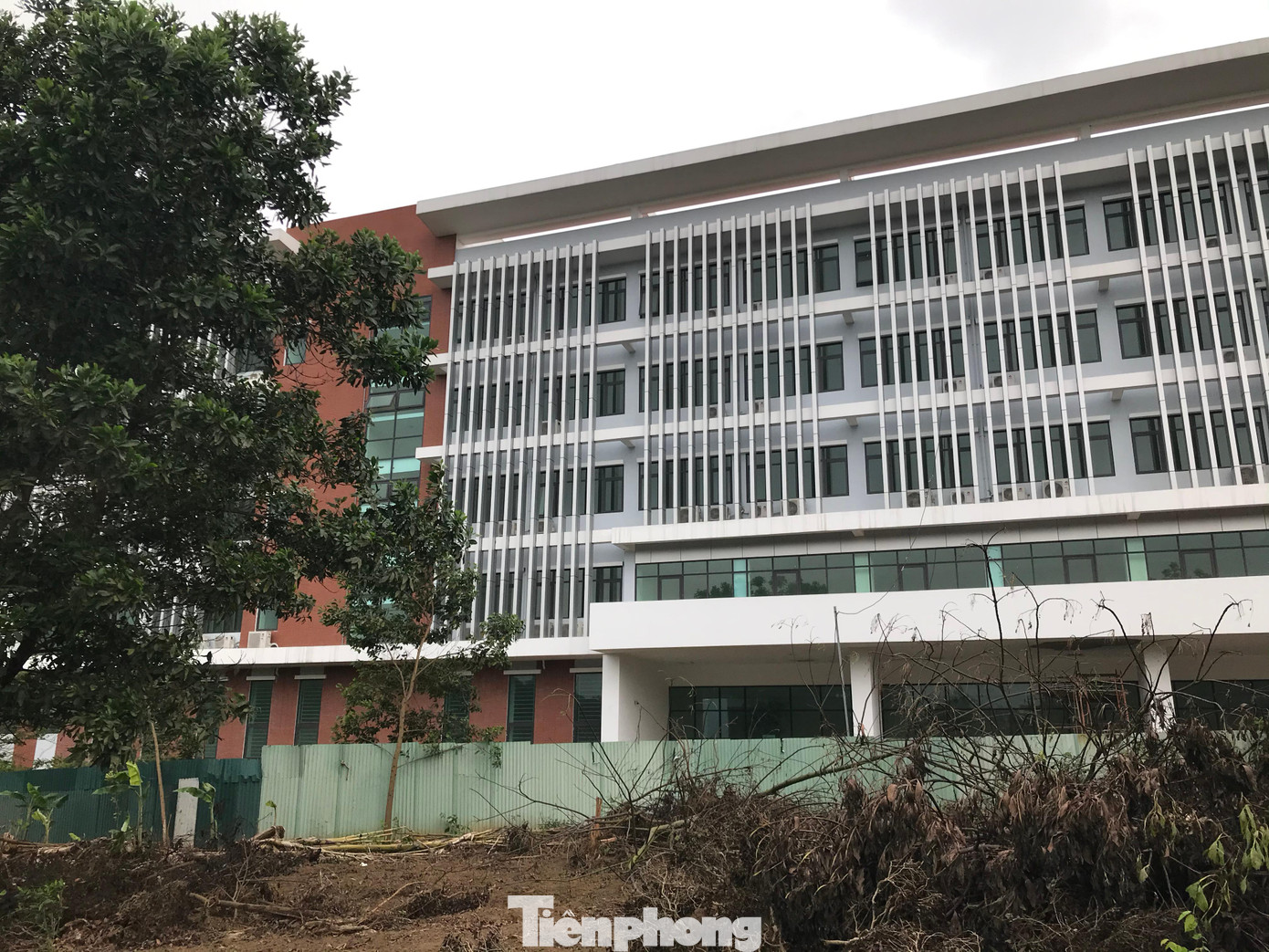 Một toà nhà đã được xây dựng gần như hoàn thiện, tuy nhiên vẫn quây kín bằng tôn, chưa đưa vào sử dụng Một toà nhà đã được xây dựng gần như hoàn thiện, tuy nhiên vẫn quây kín bằng tôn, chưa đưa vào sử dụng