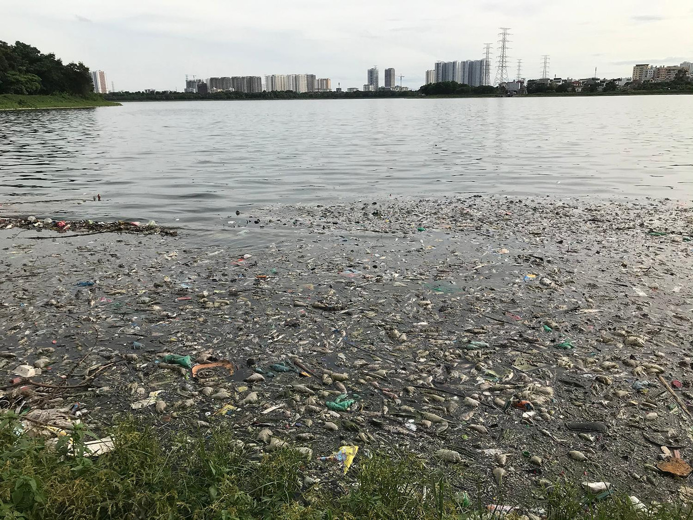 Dường như hiện tượng cá chết đã xảy ra nhiều ngày. Theo quan sát của phóng viên, ở khu vực góc hồ xuất hiện nhiều vệt vớt, xử lý rác và cá chết. Nhiều xác cá vương vãi trên cả bờ hồ, đường đi