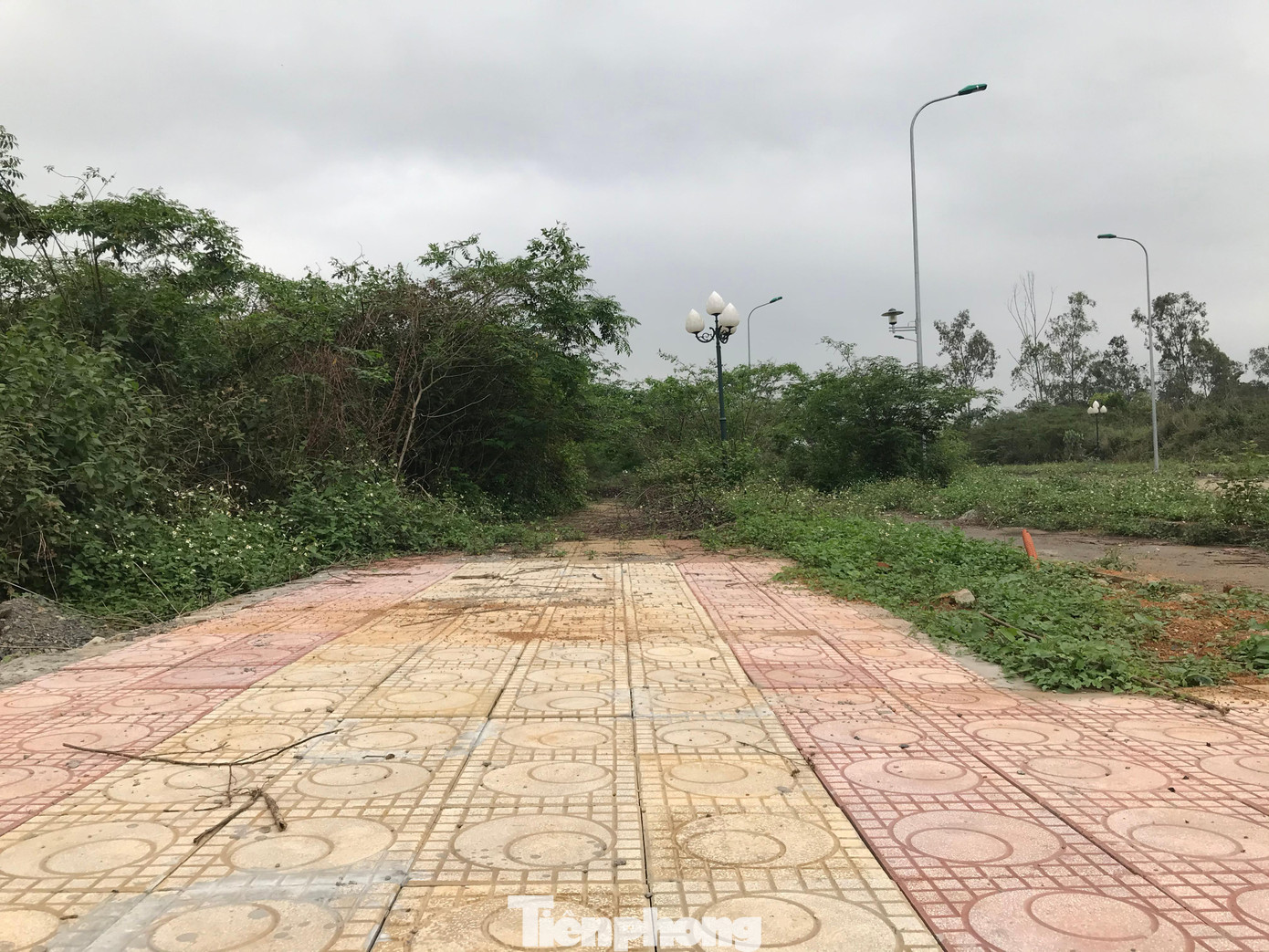 Đáng chú ý, dù hai bên đường toàn là cỏ dại, nhưng đường xá đều được làm mới, gây băn khoăn về hiệu quả sử dụng Đáng chú ý, dù hai bên đường toàn là cỏ dại, nhưng đường xá đều được làm mới, gây băn khoăn về hiệu quả sử dụng