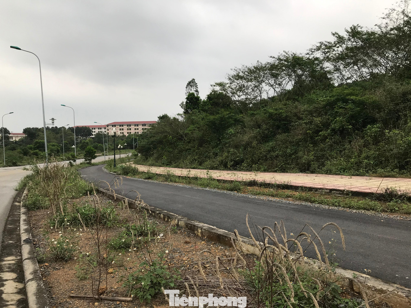 Một đoạn đường gom dường như được trải thảm lại, dù không phục vụ công trình nào hai bên đường Một đoạn đường gom dường như được trải thảm lại, dù không phục vụ công trình nào hai bên đường