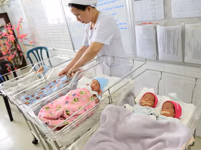 5 em bé đang được y tá chăm sóc tại bệnh viện