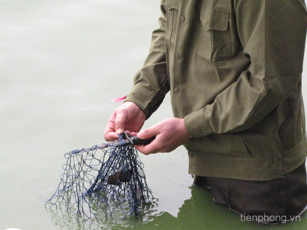 Nhiều 'vật thể lạ' mắc vào lưới. Nhiều 'vật thể lạ' mắc vào lưỡi