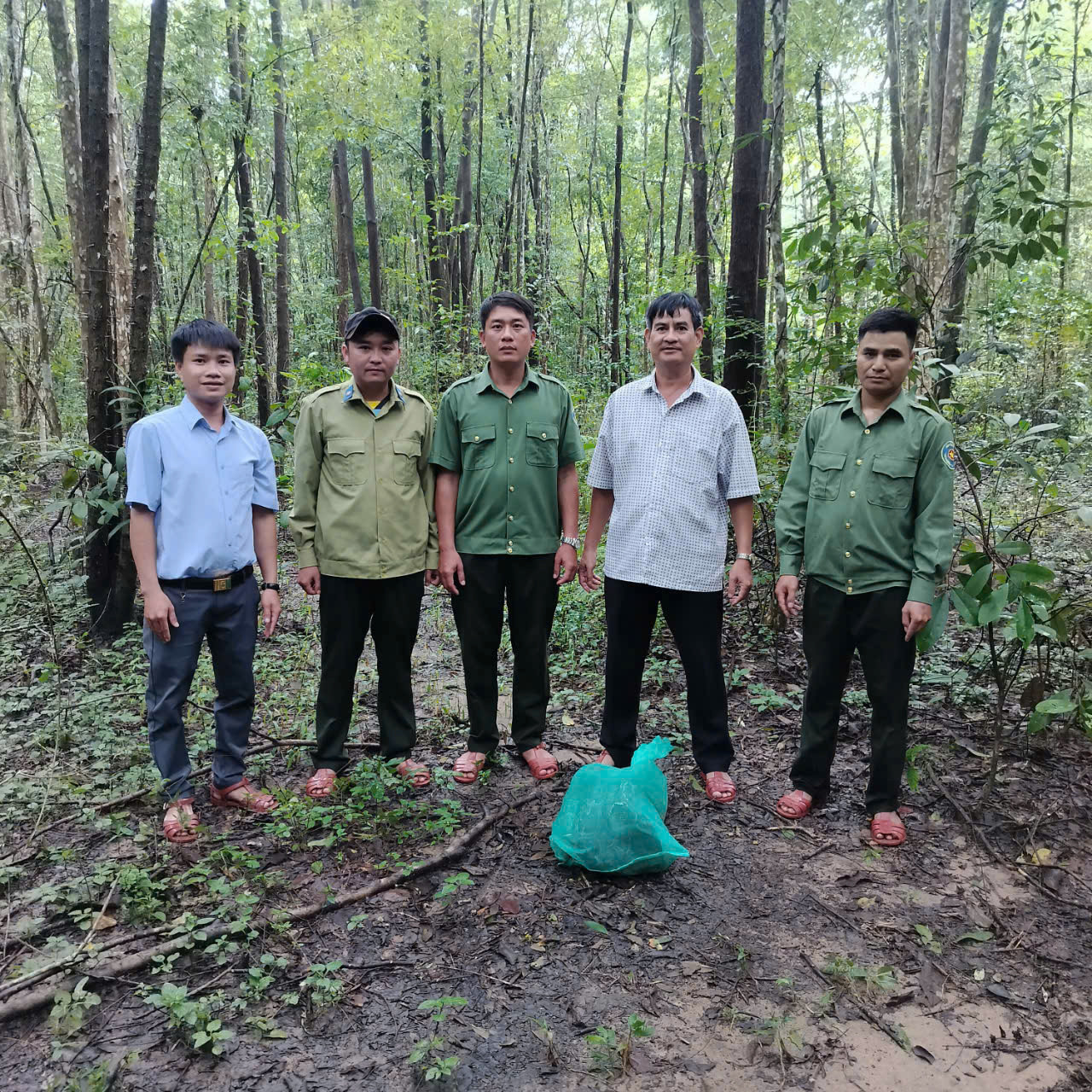 Lực lượng chức năng thả cá thể trăn đất về với tự nhiên.