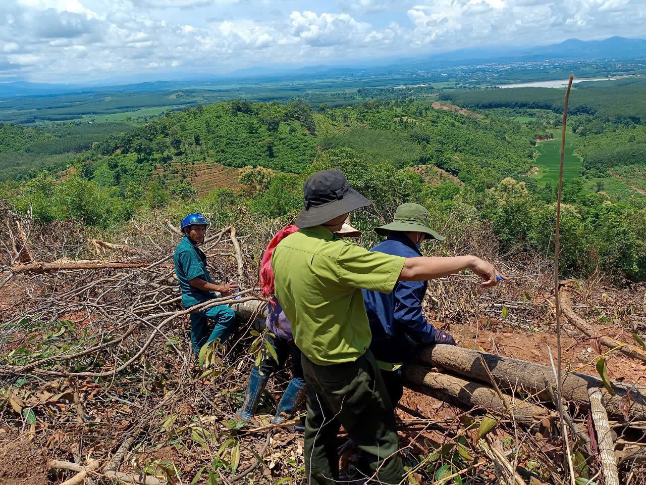 Khu vực rừng phòng hộ tại Tiểu khu 571 bị khai thác trái phép Khu vực rừng phòng hộ tại Tiểu khu 571 bị khai thác trái phép