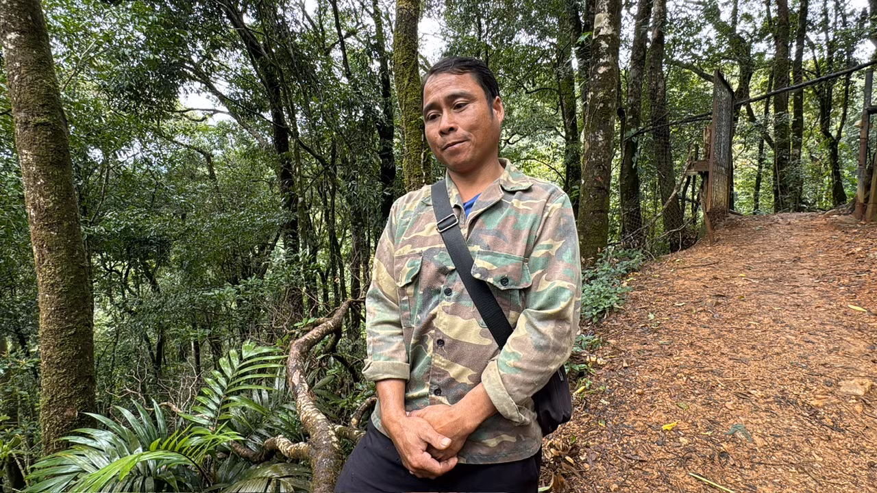 Ông A Đốc chưa hết bàng hoàng khi mất trắng 300 gốc sâm trong vòng 1 đêm