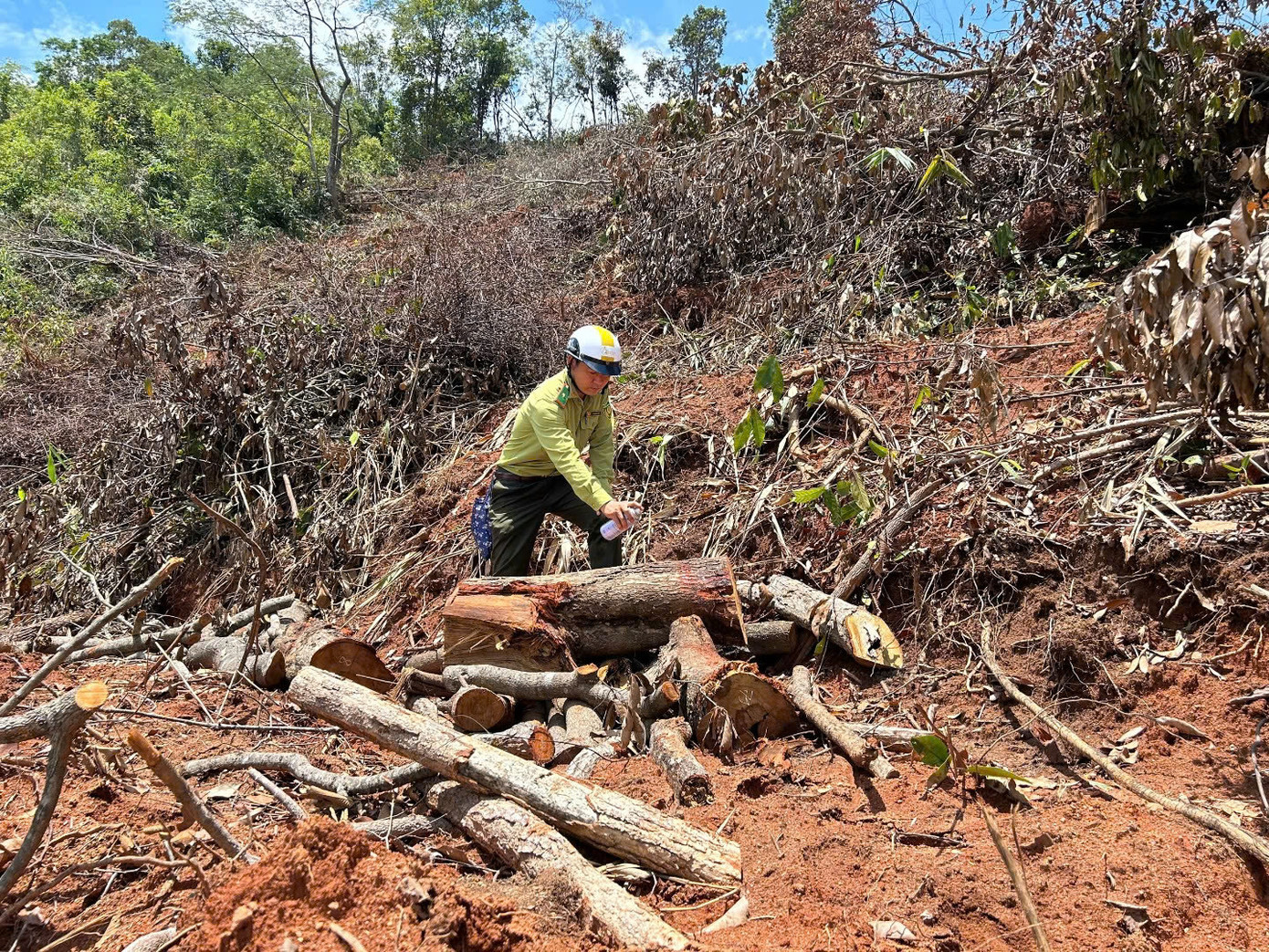 Cán bộ Hạt kiểm lâm TP.Kon Tum kiểm tra khu vực phá rừng Cán bộ Hạt kiểm lâm TP.Kon Tum kiểm tra khu vực phá rừng